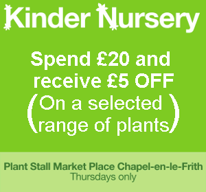 kinder nursery